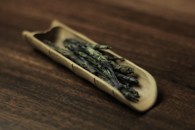 kuding tea needle tea